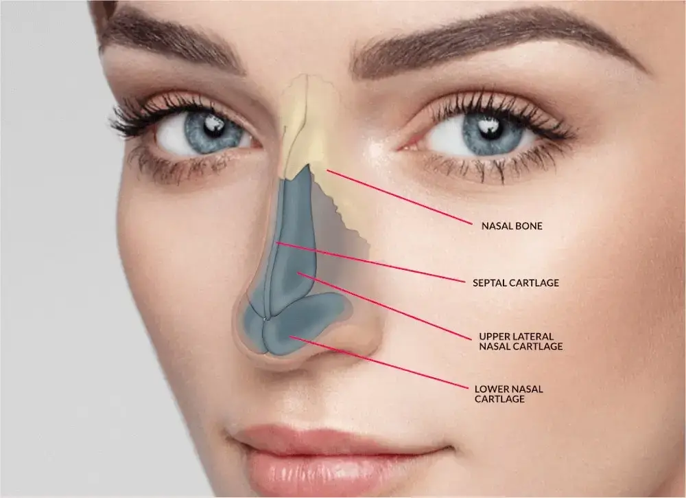 Rhinoplasty planning at Nobi Aesthetic